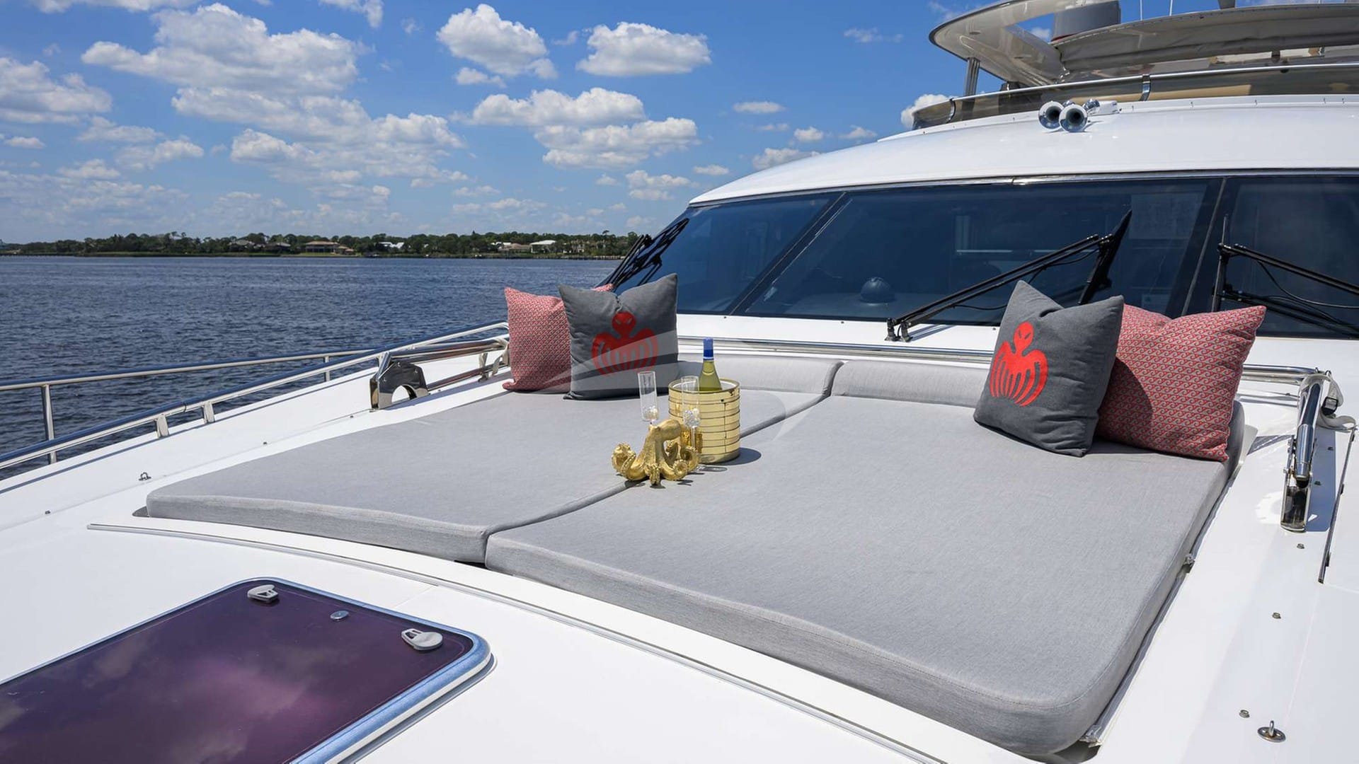 Spectre — luxury yacht charter Monaco · photo 14